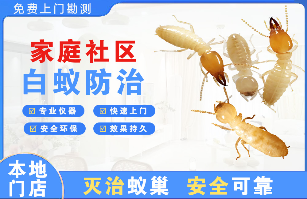 福州家庭社区白蚁防治