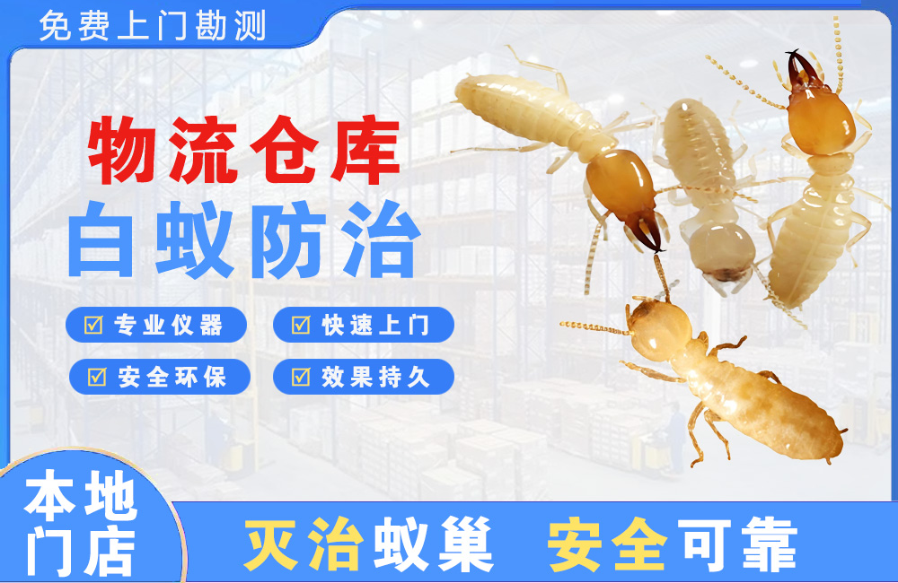 福州物流仓库白蚁防治
