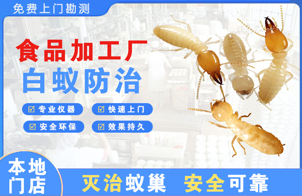 福州食品加工厂白蚁防治