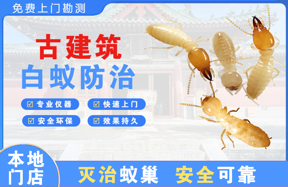福州古建筑白蚁防治