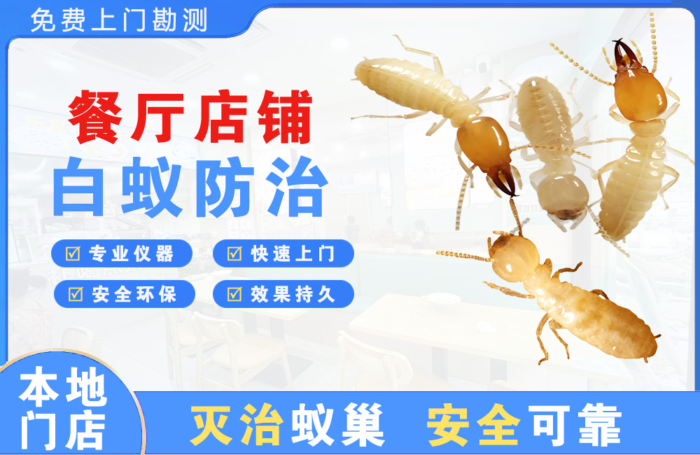 福州餐厅店铺白蚁防治